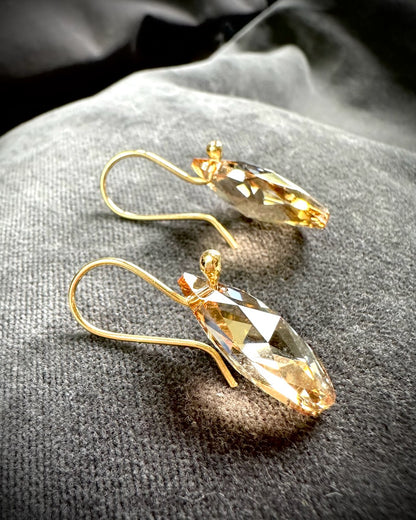 Swarovski Earrings from Sabine Werner Jewellery.